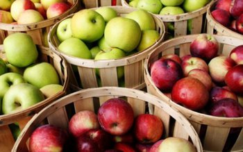 Cum îți dai seama dacă …