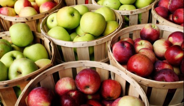 Cum îți dai seama dacă merele pe care le-ai cumpărat sunt modificate genetic