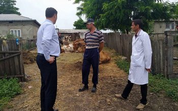 Soluții identificate pentru asigurarea hranei …