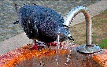 ANM se pregătește de cod …