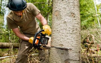 Tragedie! Botoșănean de numai 19 …