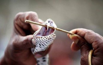 Alertă în România: Doi turiști …