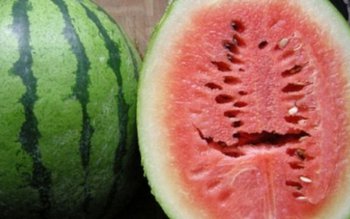 Dacă tai un pepene roşu …