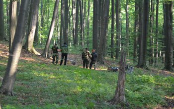 Contrabandişti reţinuţi cu focuri de …