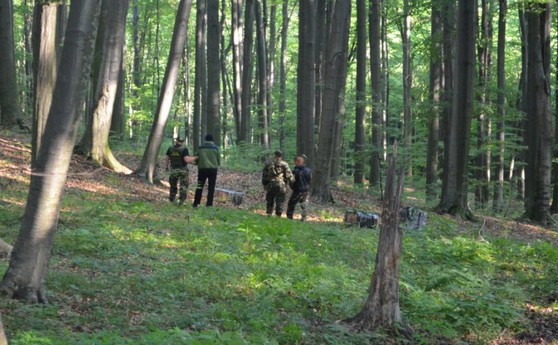 Contrabandişti reţinuţi cu focuri de armă pe raza localităţii de frontieră Pomârla - FOTO