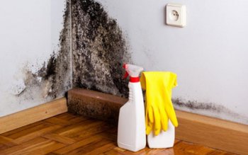 Pericolul din casele noastre: mucegaiul …