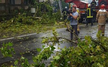 Pagube de peste 16 milioane …