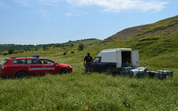 Dacia Papuc plin cu țigări …