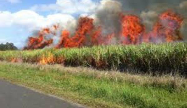 Campanie de recoltare a cerealelor fără incendii!!