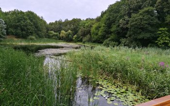 Vizită neanunțată a vicepreședintelui CJ …