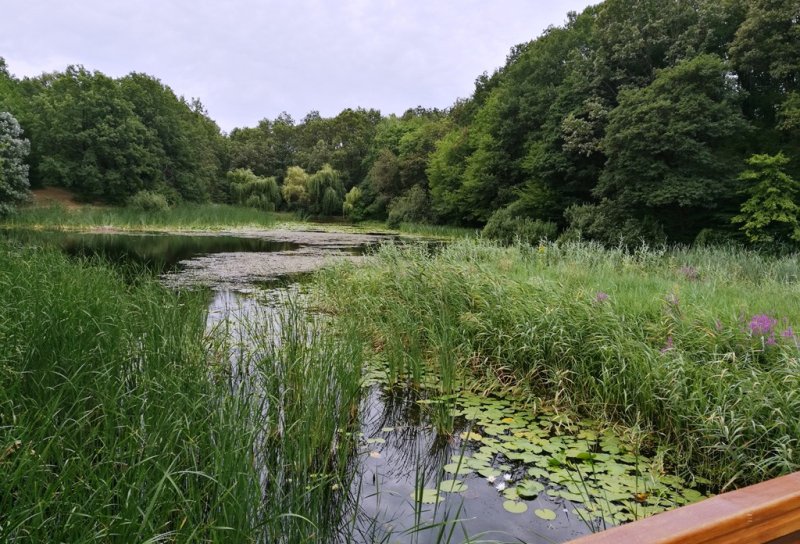 Vizită neanunțată a vicepreședintelui CJ Dorin Birta, la Lacul cu Nuferi de la Ipotești - FOTO