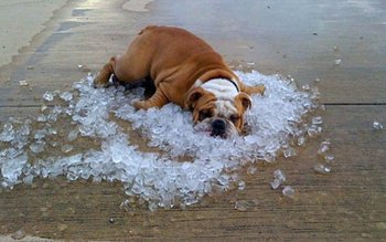 Recomandări pentru populație pe fondul …