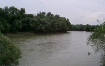 Două cadavre au fost găsite …