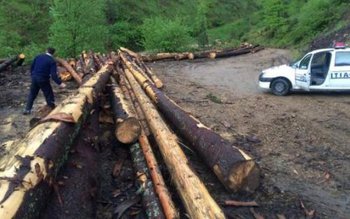 Societate de prelucrarea lemnului din …