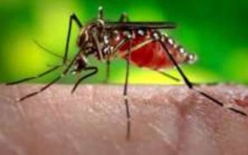 Cum să primești 13.000 de …