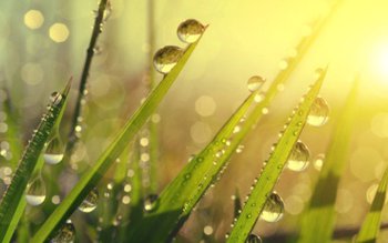 Meteo: Răcoare în vestul țării …