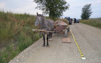 Atelaje încărcate cu ţigări de …