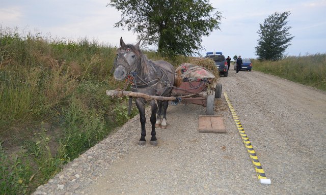 Atelaje încărcate cu ţigări de contrabandă, reţinute la frontieră - FOTO