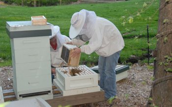 Dosar penal pentru furtul a …