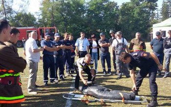 Voluntarii din Botoșani și Ucraina, …