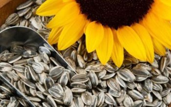 Cât dăunează consumul exagerat de …