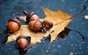 Prognoza METEO pentru 20, 21 …