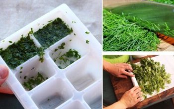 Cum se pun corect la …