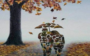 Meteo: Să ne obișnuim cu …