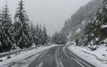 Ninge în Munţii Făgăraş. Stratul …