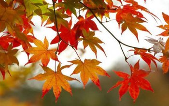 Vremea se răceşte accentuat în …