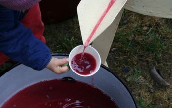 Vinul pus la fermentat poate …