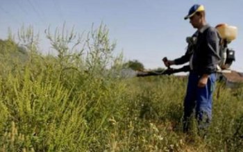 Ai putea să fii amendat …