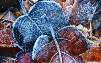 Vine un nou val de …