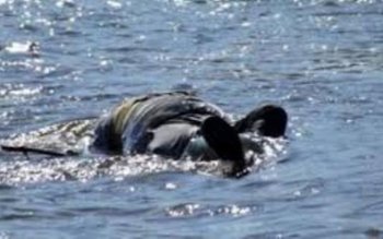 Tragic! Un bărbat din Dorohoi …