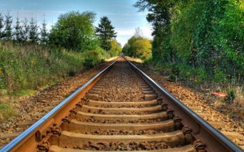 Șocant! Trei studenți au fost …