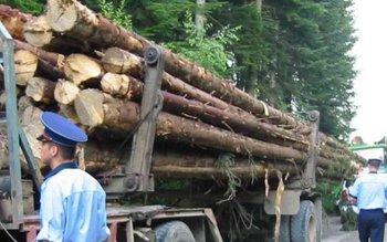 Amendă uriaşă încasată de un …