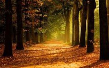 „Emoții de toamnă” la clubul …