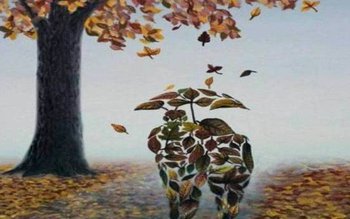 Azi se răcește simțitor, iar …