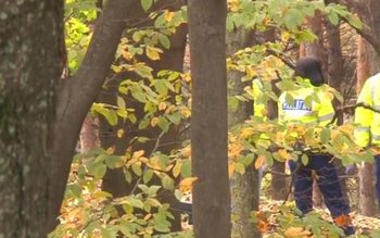 Descoperire şocantă, în pădurea de …