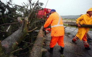 Vântul a făcut prăpăd în …