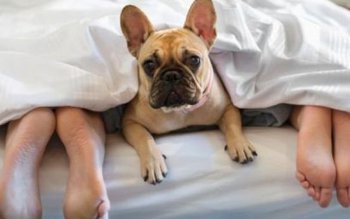 De ce nu e sănătos …