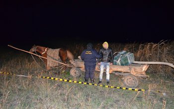 Prins cu căruţa plină cu …