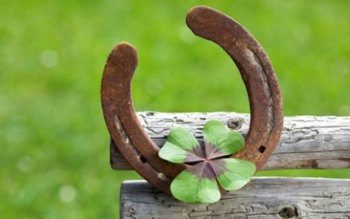 Au noroc cu carul. 3 …