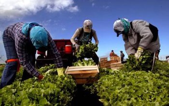 Angajări pe salarii de la …