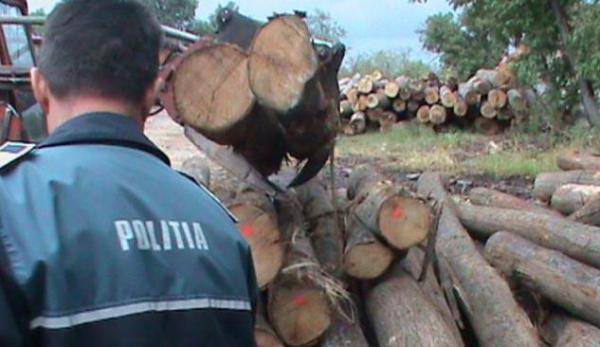 Material lemnos confiscat de Poliţiştii Biroului Rutier Dorohoi