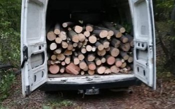 La vederea poliţiștilor și-a abandonat …