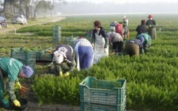 Selecție pentru locurile de muncă …