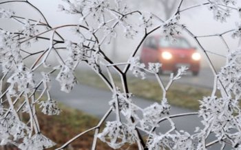 V-ați făcut planuri de plecat …