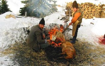 Când este IGNATUL. Ce trebuie …