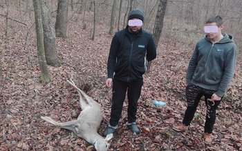 Braconieri prinși de jandarmi cu …